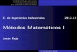 Métodos Matemáticos I - wmatem.eis.uva.eswmatem.eis.uva.es/~jesroj/matem1/Curso/Cap11_Esquema.pdf · El problema elíptico que vamos a tratar El método de las diferencias centradas