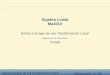Álgebra Lineal Ma1010 - cb.mty.itesm.mxcb.mty.itesm.mx/ma1010/materiales/ma1010-17a.pdf · Núcleo de una transformación lineal Sea T :V → W una transformación lineal. El núcleo