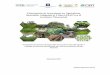 Priorización de inversiones en Agricultura Sostenible ...map.catie.ac.cr/asac/docs/informe_fase1_nic.pdf · como la agricultura sostenible que aumenta la productividad, ... El estudio