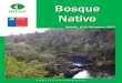 Boletín N°14 Diciembre 2017 - biblioteca.infor.clbiblioteca.infor.cl/DataFiles/32093.pdf · La producción de madera aserrada de especies nativas en el 2016 alcanzó a 118.615 m3,