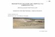 MANIFESTACIÓN DE IMPACTO AMBIENTAL - SINATsinat.semarnat.gob.mx/dgiraDocs/documentos/col/estudios/2006/06CL... · geológico de grava, tepetate, tezontle, piedra, arena amarilla,