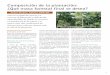 Composición de la plantación: ¿Qué masa forestal final ...pirinoble.eu/docs/es/Composicion_plantacion_Pirinoble.pdf · 2 La elección del itinerario técnico de la plantación