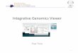 Integrative Genomics Viewer - Massachusetts Institute of ...barc.wi.mit.edu/education/hot_topics/igv/IGV.pdf · Why IGV? • Integrate different data types simultaneously • View