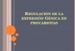 Regulación Génica en procariotas · la expresión de los genes, actúa como un represor. Regulación de la Expresión Génica . ... o lineal que se replican y transcriben independientes