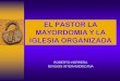 EL PASTOR LA MAYORDOMIA Y LA IGLESIA ORGANIZADAasdnoreste.mx/site/wp-content/uploads/2016/04/Seminario-para-pa... · prácticos para una estrategia de mayordomía congregacional