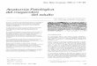 Anatomía Patológica del megacolon del adulto - rmu.org.uy · Fueron constantes la gran dilatación visceral de los sigmoides y recto-sigmoides resecados, sin obstruc- ción orgánica