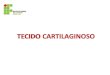 TECIDO CARTILAGINOSO - docente.ifsc.edu.brdocente.ifsc.edu.br/melissa.kayser/MaterialDidatico/Citohistologia... · • Pericôndrio: tecido conjuntivo que envolve a cartilagem, responsável