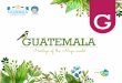 Con el apoyo de - fodemipyme.comfodemipyme.com/images/GuatemalaHerritage.pdf · ... tradiciones, costumbres de la civilización, ... en los departamentos de Quiché, ... Palencia