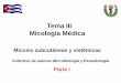 Tema III Micología Médica - uvsfajardo.sld.cuuvsfajardo.sld.cu/.../micosis_subcutaneas_y_sistemicas._parte_i_0.pdf · Hongos causantes de Cromomicosis. ... • Cromomicosis •