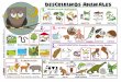 DESCRIBIMOS ANIMALES - actiludis.com · Autor pictogramas: Sergio Palao Procedencia: ARASAAC catedu.es/arasaac DESCRIBIMOS ANIMALES 6.- ... TIPO DE PICO. BY-NC-SA 