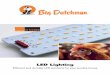 LED Lighting - Big Dutchman · compact LED lamp with attractive price / performance ratio FlexLED HO efficient and economic illumination of ceilings and aisles FlexLED eco is a small