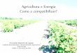 Agricultura e Energia Como a compatibilizar? - lneg.pt e energia_LNEG.pdf · Agricultura e Energia. Como a compatibilizar? Sumário A. Introdução B. O conflito entre a produção
