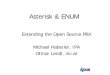 Asterisk & ENUM - meetings.ripe.net · What is Asterisk? • A PBX software for the Linux platform developed by Digium. • Does PBX call switching, Codec translations, and various