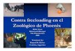 Contra freeloading en el Zool gico de Phoenix)chimpanzoo.org/enrichment/spanish/scontra.pdf · dietas especiales. La traducción literal de Contra freeloading es: Contra= Contra 