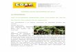 VIERNES 08 DE DICIEMBRE DE 2017 LA PROVINCIA: LOS ...coagcanarias.com/wp-content/uploads/2017/12/Noticias-08-12-2017.pdf · Las Palmas de Gran Canaria: ... VIERNES 08 DE DICIEMBRE