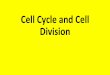 Cell Cycle and Cell Division061851f72b23d802adaa-d56582058559818728a814bdd94ad99a.r54.cf2.rackcdn.com/... · Page 163 - The results of Mitosis and Cell Division *At the end of Mitosis,