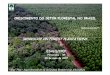 CRESCIMENTO DO SETOR FLORESTAL NO BRASIL do... · cobertura vegetal natural no brasil foresta amazÓnica mata atlÁntica mata das araucÁrias mata dos cocais ... desenvolvimento das