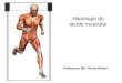 Histologia do tecido muscular - gilcelefasipe.webnode.com · BIOLOGIA, 1º Ano Classificação e características do tecido muscular CLASSIFICAÇÃO •Existem 3 tipos de tecidos