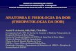 ANATOMIA E FISIOLOGIA DA DOR (FISIOPATOLOGIA DA DOR) .anatomia e fisiologia da dor (fisiopatologia