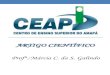 Apresentação do PowerPoint - CEAP · metodologia, limitações e preposição. 1 