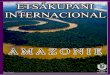 ETSÁKUPANI INTERNACIONAL - unla.mx · Au delà des tensions internationales, l’occupation des terres indigènes (faisant parties intégrantes du patrimoine brésilien) en Amazonie