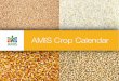 AMIS Crop Calendar · AMIS Participating Countries The countries included in this calendar are those taking part in the AMIS initiative, that is the G-20 countries plus Spain, along