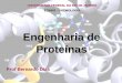 Engenharia de Proteínas - UFRJ/EQ - Escola de Química da ... Grad/EQB483_aula10.pdf · oligonucleotidico de DNA contendo a alteração de ... e a clonagem no vetor alvo. DNA Shuffling