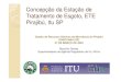 Concepção da Estação de Tratamento de Esgoto, ETE … · 2017-04-18 · Concepção da Estação de Tratamento de Esgoto, ETE PirajibúPirajibú, Itu SP , Itu SP Gestão de Recursos