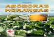 Editores ABÓBORAS - design.jet.com.br³boras do... · relacionados a botânica, socioeconomia e valor nutricional das principais espécies de cucurbitáceas consumidas no País