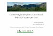 Conservação de plantas no Brasil: desafios e perspectivasciram.epagri.sc.gov.br/ciram_arquivos/arquivos/iff/pdf/IISeminario/... · extinção de espécies, visando o alcance das