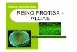 Professor: Fernando Stuchi REINO PROTISA - ALGAS · As algas são constituídas por diversos tipos, cores, formas e tamanhos. É importante destacar que nem todas as algas ... Algas