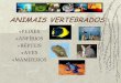 ANIMAIS VERTEBRADOS - colegiosantarosa-pa.com.brcolegiosantarosa-pa.com.br/material_do_professor/klicia_regateiro/... 
