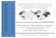 UNIVERSIDADE FEDERAL DE SANTA CATARINAcadernosgeograficos.ufsc.br/files/2016/02/completo-7.pdf · UNIVERSIDADE FEDERAL DE SANTA CATARINA Cadernos Geográficos GCN / CFH / UFSC ISSN