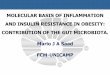 MOLECULAR BASIS OF INFLAMMATION AND INSULIN RESISTANCE IN OBESITY ... · resistÊncia À insulina resistÊncia À insulina 