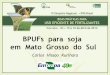 BPUFs para soja em Mato Grosso do Sul - IPNI - Brasilbrasil.ipni.net/ipniweb/region/brasil.nsf... · na cultura da soja. Faixa de suficiência de nutrientes para a soja (SFREDO, 1986)