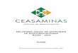 RELATORIO ANUAL DE ATIVIDADES DE AUDITORIA …minas1.ceasa.mg.gov.br/ceasainternet/_lib/file/docraint/R_2016... · DE AUDITORIA INTERNA RAINT – 2016 AUDIN RELATÓRIO ANUAL DE ATIVIDADES