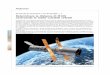 Gli esercizi di astronomia a cura di ESA/ESO — 2 ...xoomer.virgilio.it/morellato/morellato135/Esercitazione cefeidi.pdf · Prima che il telescopio spaziale Hubble della NASA e dell’ESA