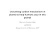 Marcos Buckeridge LAFIECO - USPsbbq.iq.usp.br/biofuel/presentations/buck_1_disturbing_carbon.pdf · Disturbing carbon metabolism in plants to help humans stay in this planet Marcos