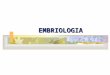 EMBRIOLOGIA - Colégio Gonzaga - Pelotas/RS · PPT file · Web view2014-12-15 · EMBRIOLOGIA EMBRIOLOGIA Definições Tipos de Óvulos Tipos de Clivagens Embriogênese Destino dos