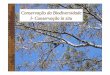 Conservação da Biodiversidade I- Conservação in situecologia.ib.usp.br/bie314/conservacao_ecohumana_2008.pdf · Estratégias para a conservação da biodiversidade: Conservação