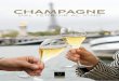 CHAMPAGNE champagne/Champagne... · (gesso, marna e calcare propriamente detto). Questo tipo di stratificazione profonda favorisce il drenaggio e, a livello gustativo, la particolarissima