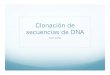 CLonacion de secuencias de DNA Biotecnologia 11 de octubrecursosdrarodriguez.weebly.com/uploads/1/0/2/...de_dna_biotecnologia... · Aplicaciones de la PCR . Apliaciones de la tecnología
