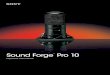 Sound Forge Pro 10 - Canford .Maximize the Sound Forge application window Show/hide windows docked