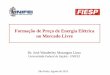 Formação de Preço de Energia Elétrica no Mercado Livreaz545403.vo.msecnd.net/uploads/2013/08/José-Wanderley-Marangon... · Formação de Preço de Energia Elétrica no Mercado