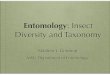 Entomology 2 visual - MSU Organic Pest Management · Nematocera Culicidae Tipulidae Chironomidae. Brachycera Asilidae Bombilidae Tabanidae. Cyclorrhapha Tachinidae Muscidae. Matthew