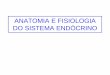 ANATOMIA E FISIOLOGIA DO SISTEMA ENDÓCRINOescola.unitau.br/files/arquivos/category_1/Profa_Luciana_Sistema... · pode ser secretada dentro do Sistema Circulatório (hormônios) ou
