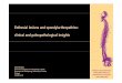 Enthesial lesions and spondylarthropathies: clinical and ... · Enthesial lesions and spondylarthropathies: clinical and paleopathological insights ... CeCe t o de est gação e t