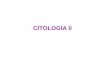 CITOLOGIA II - · PDF fileCITOLOGIA II . CITOPLASMA, CITOSOL E HIALOPLASMA Formam o Citoesqueleto: Movimento, forma celular e transporte de orgânulos e substâncias dentro da célula