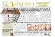 BUSINESS AGROIN - agroin.com.br · agir com mais vontade. Página 3. solera critica políticas para setor turístico ... jejum de 46 anos da importação de genética indiana para
