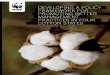 Developing a policy Framework For promoting Better ... · Developing a policy Framework For promoting Better management practices in Four cotton states Prepared by vrutti livelihoods